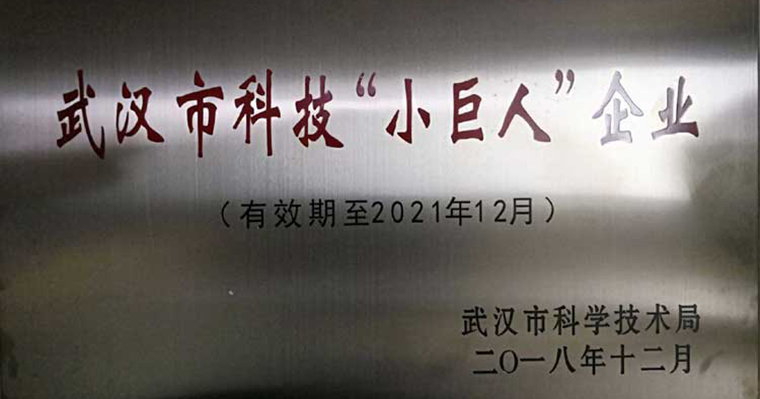 年末喜讯：我公司荣获武汉市科技“小巨人”企业，完美收官！